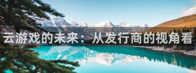 db电竞智得官网：云游戏的未来：从发行商的视角看