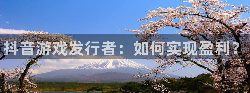db电竞官网登录注册账号安全吗可靠吗：抖音游戏发行者：如何实现盈利？