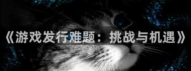 db电竞子经理人一共出了多少本