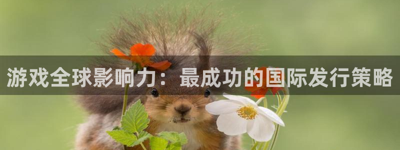 db电竞官网客服服务：游戏全球影响力：最成功的国际发行策略
