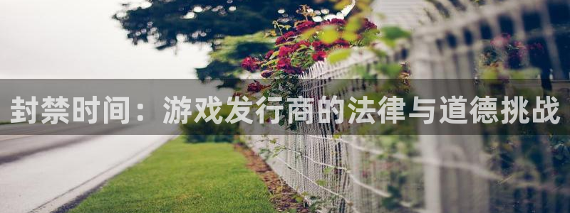 db电竞子文化：封禁时间：游戏发行商的法律与道德挑战