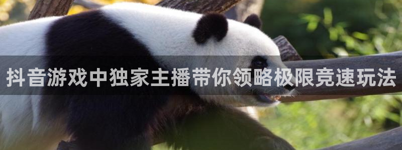 db电竞子图片高清图片：抖音游戏中独家主播带你领略极限竞速玩法