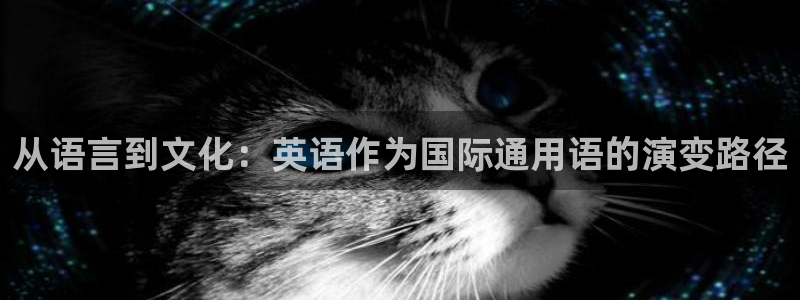 db电竞子最好看的小说：从语言到文化：英语作为国际通用语的演变路径