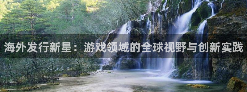 db电竞官网游戏：海外发行新星：游戏领域的全球视野与创新实践