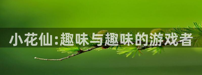 db电竞官网登录注册账号是什么：小花仙:趣味与趣味的游戏者