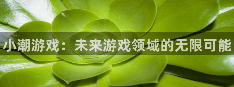 db电竞集团有限公司：小潮游戏：未来游戏领域的无限可能