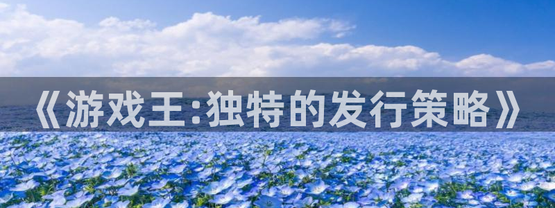 db电竞官网注册平台：《游戏王:独特的发行策略》
