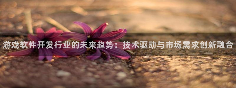 db电竞是什么