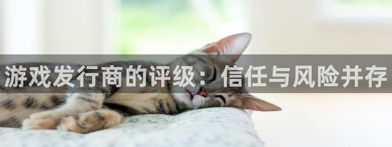 db电竞官网代理注册：游戏发行商的评级：信任与风险并存