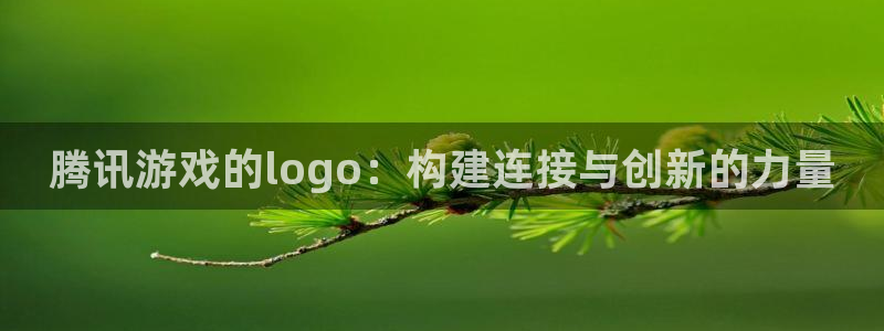 顺德db电竞电商