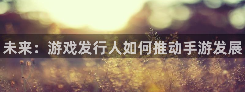 江苏db电竞智得新材料有限公司：未来：游戏发行人如何推动手游发展