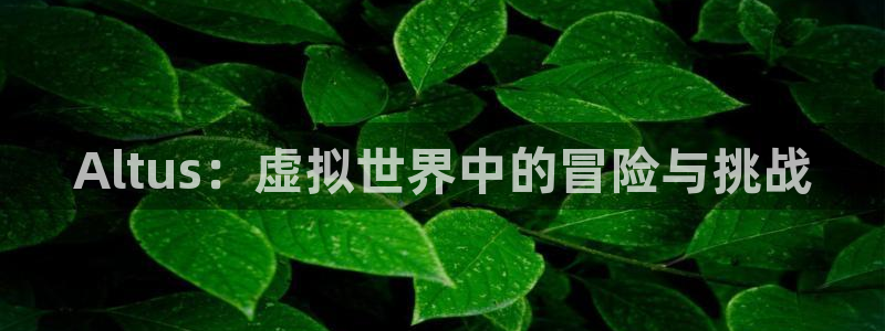 db电竞子上市：Altus：虚拟世界中的冒险与挑战