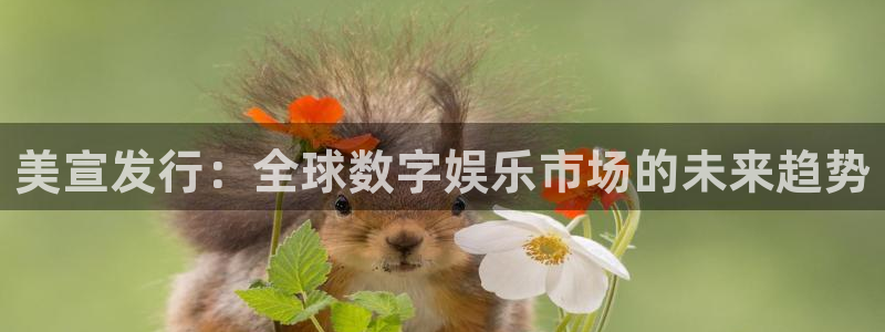 db电竞官网的奇趣腾讯是真的吗吗：美宣发行：全球数字娱乐市场的未来趋势