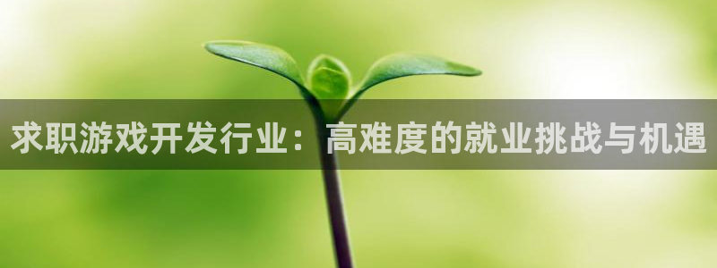 db电竞官网骗局是真的吗：求职游戏开发行业：高难度的就业挑战与机遇